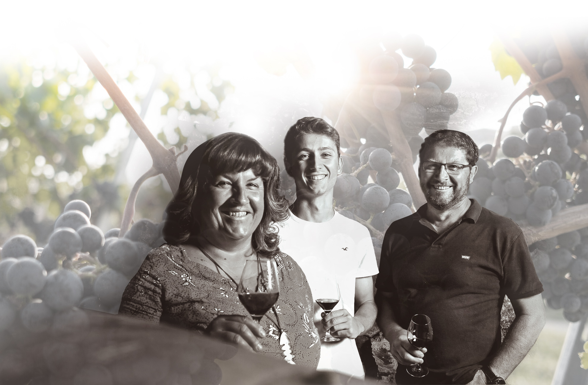 wildvinelegacy250102111607.jpg