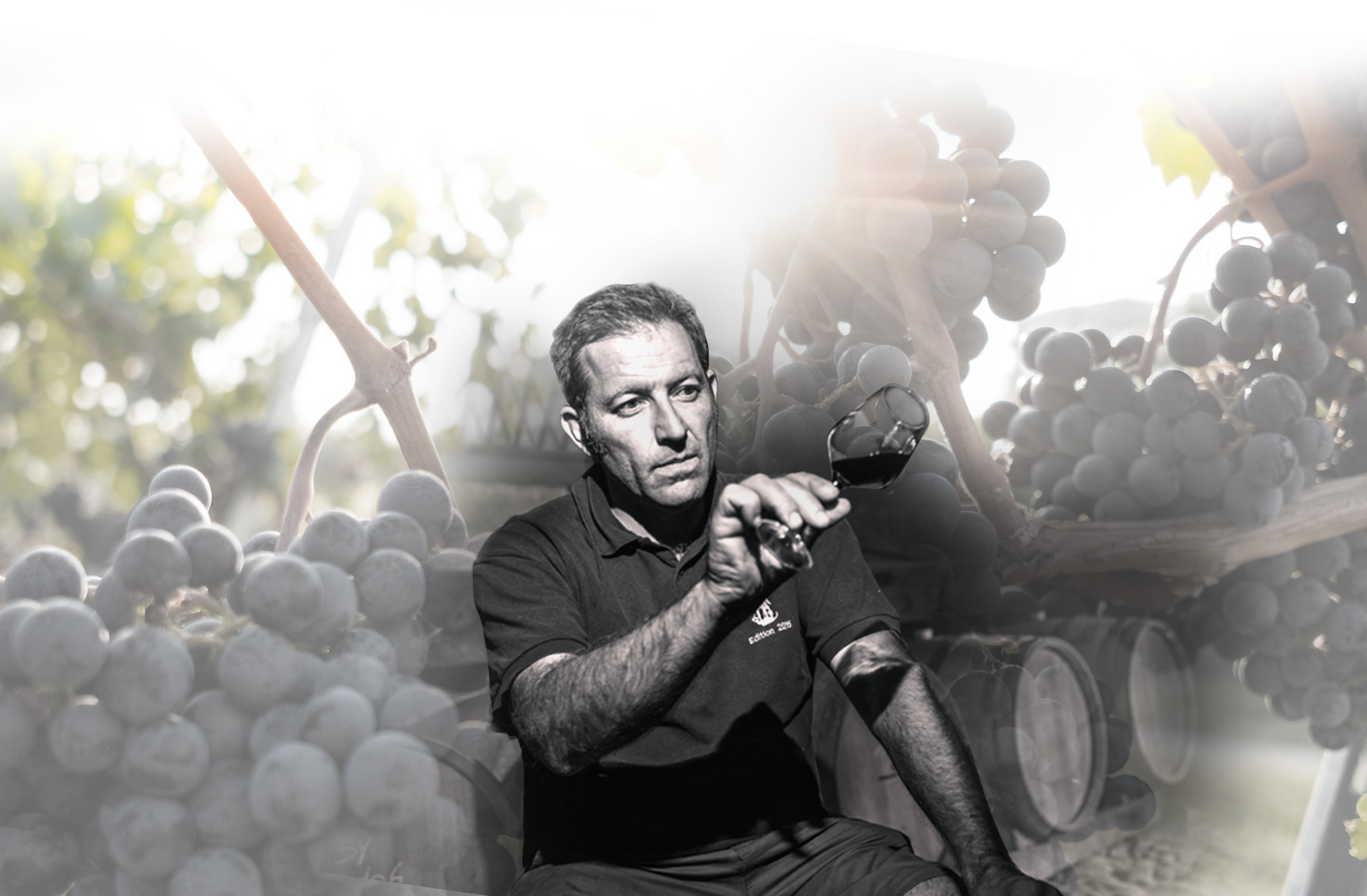 wildvinelegacy250102111639.jpg