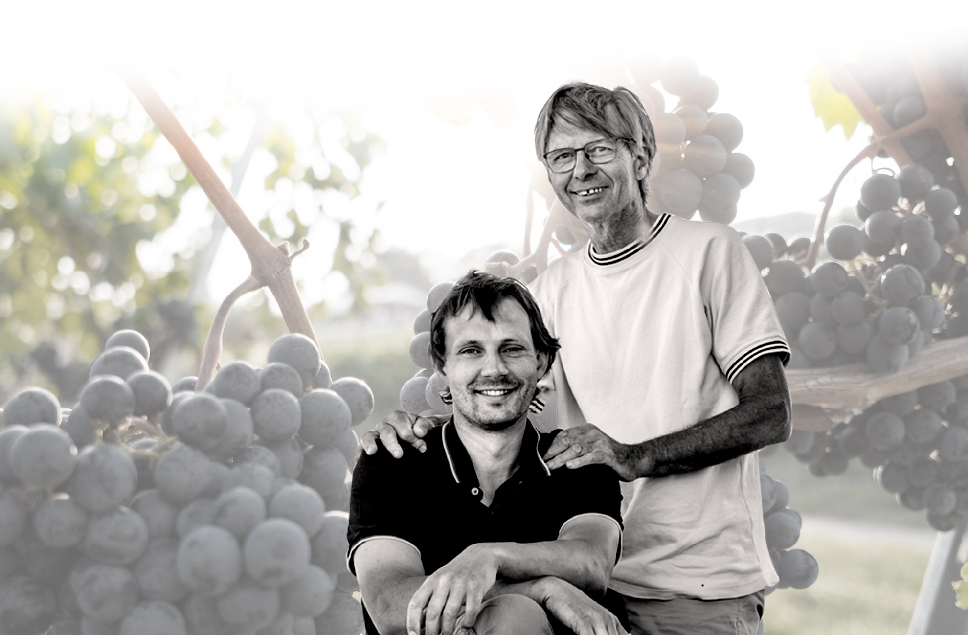wildvinelegacy250103121247.jpg
