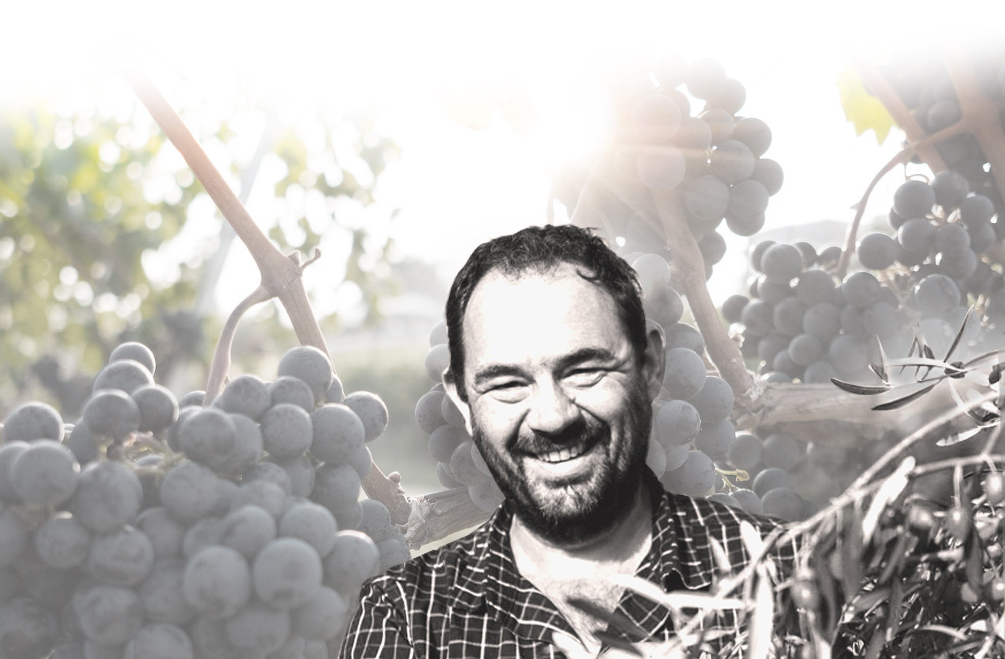 wildvinelegacy250103123007.jpg