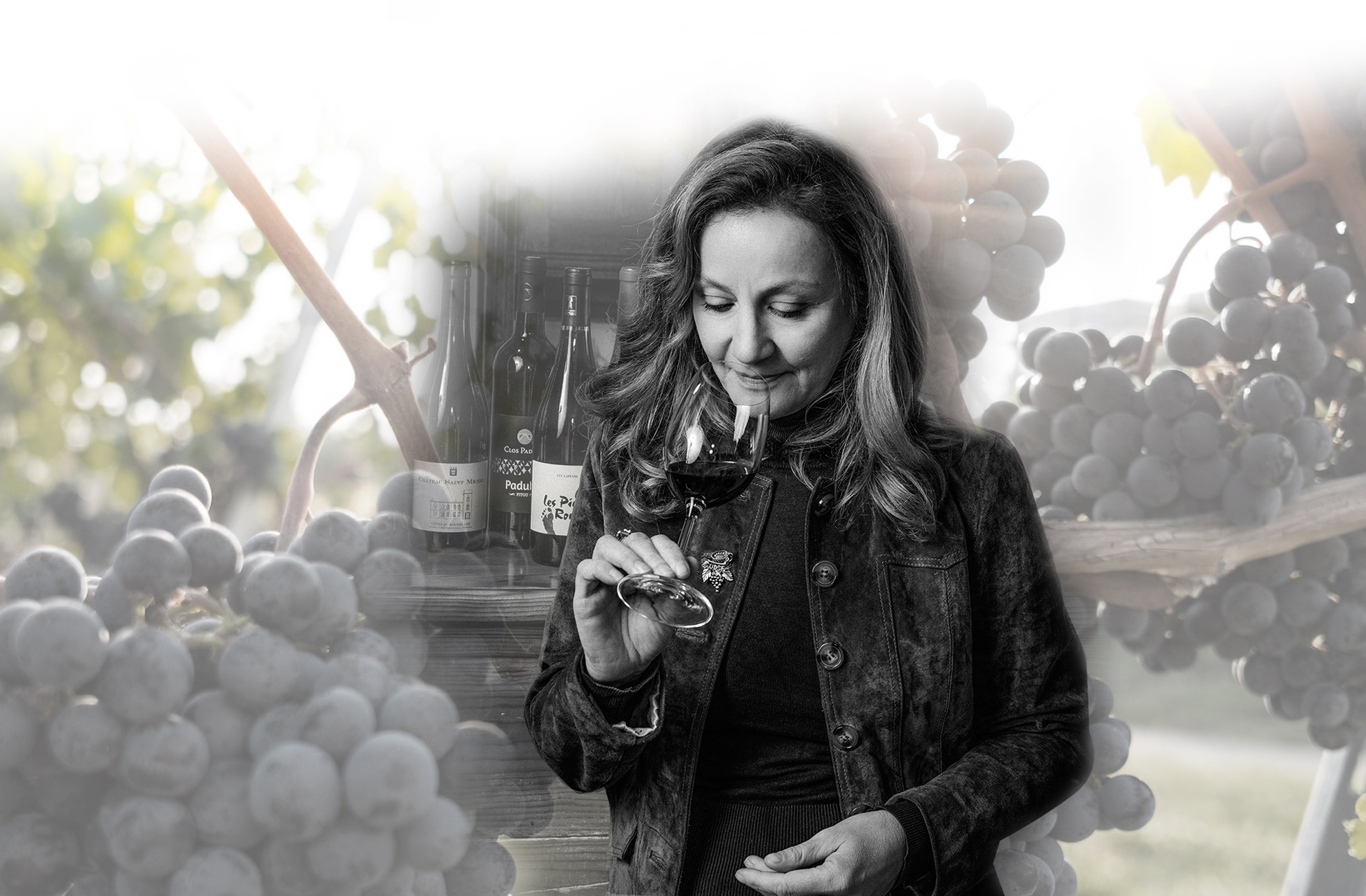 wildvinelegacy250115101905.jpg